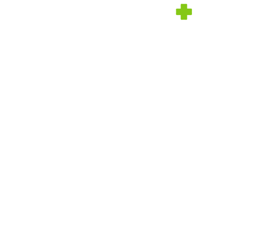 W2C Health Logo